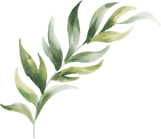 leaf 1 1